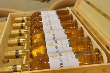 红酒宅男黄色网址需要多少钱