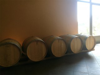 想要做红酒的利润一般是多少