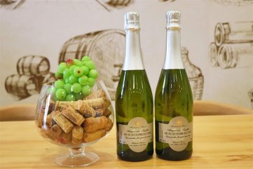 宅男视频网站免费厂家怎样选择适合