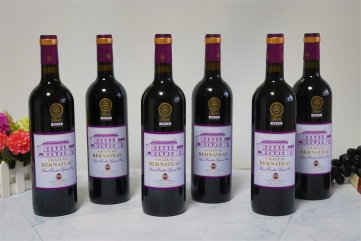 进口宅男视频网站免费宅男污视频排行榜好不好